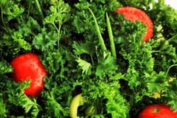 Fresh Vegetables Dietician